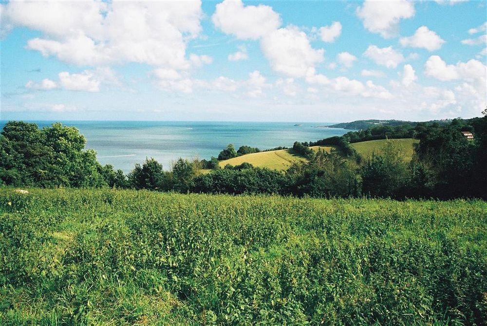 Crossways & Sea View Holiday Apartments Torquay Zewnętrze zdjęcie